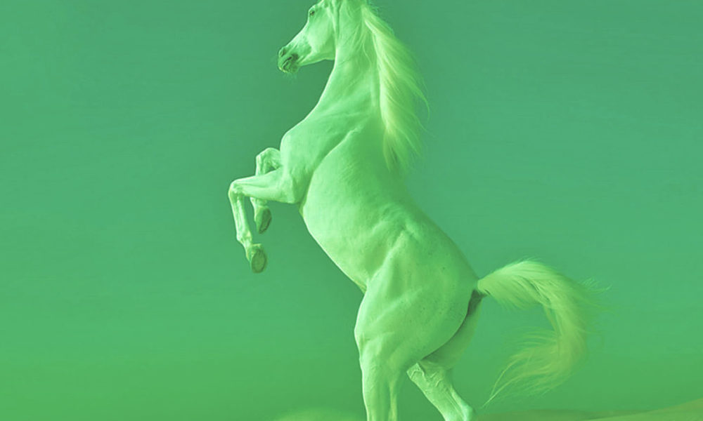 El Caballo Verde…. Una metáfora para entender para qué sirve la ...