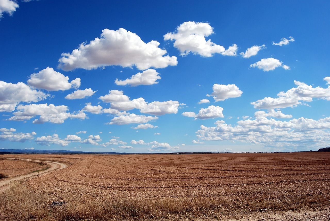 campo-nubes