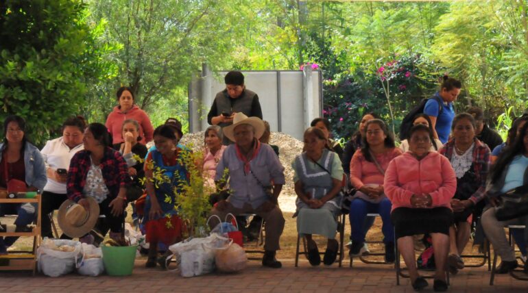 Grupos_campesinos_oaxaxaca_agroecología_colmenas_asociaci+on_centeotl