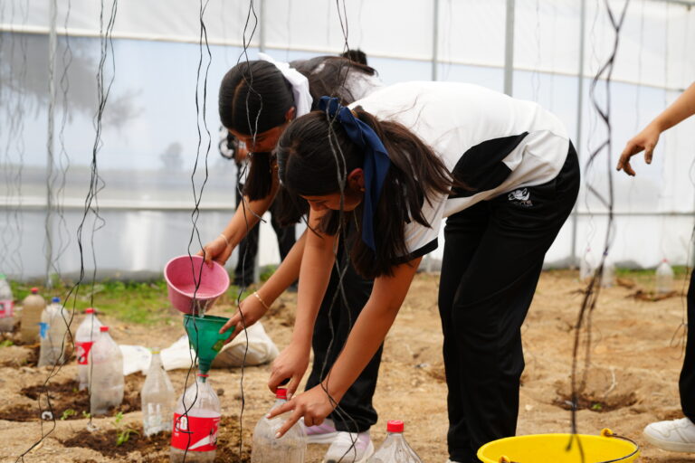 CECYTE inicia con huertos escolares en Oaxaca en invernaderos