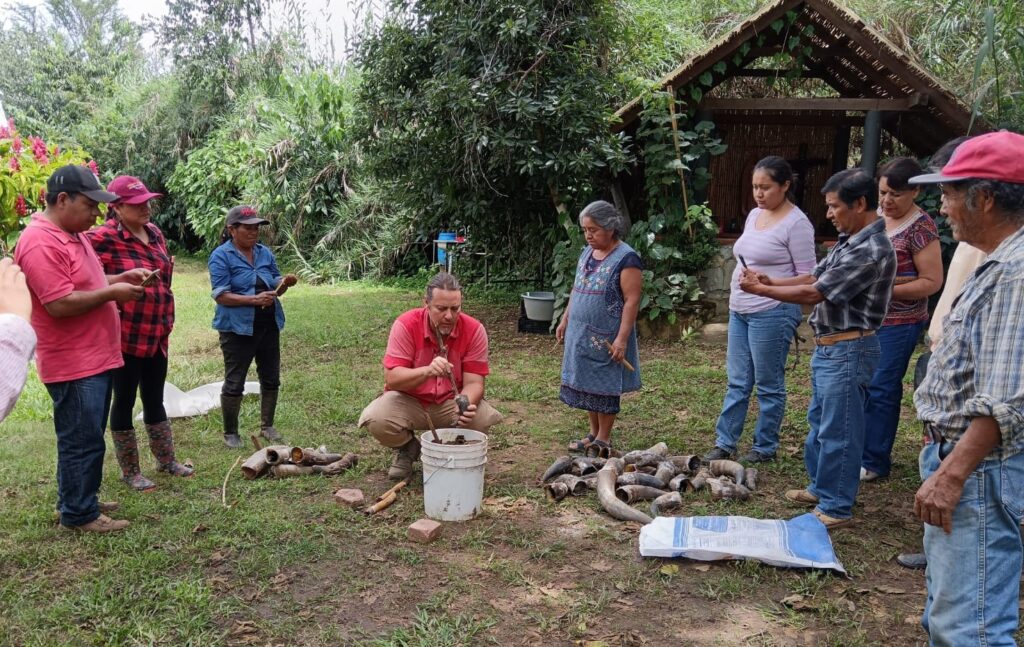 Intercambio de Saberes para Fortalecer el Cultivo de Amaranto