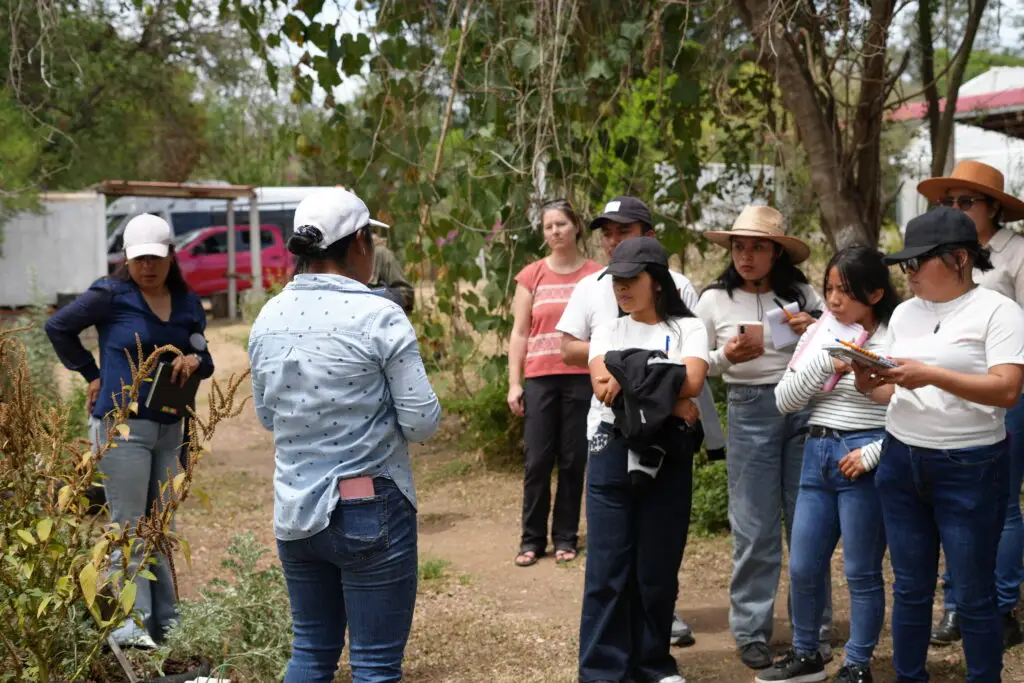 Visitas guiadas a universidades en el CDCA Centéotl Oaxaca Agroecología