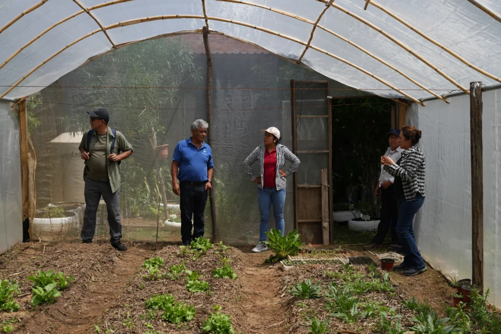 Macrotúneles ecológicos en los Valles Centrales de Oaxaca