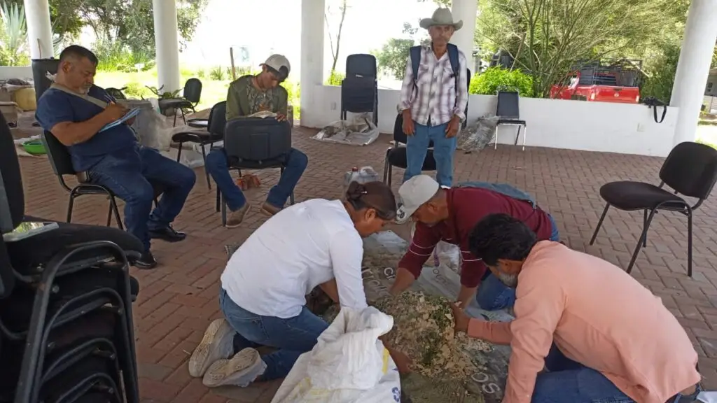 Grupo campesino de San Martín de los Cansecos