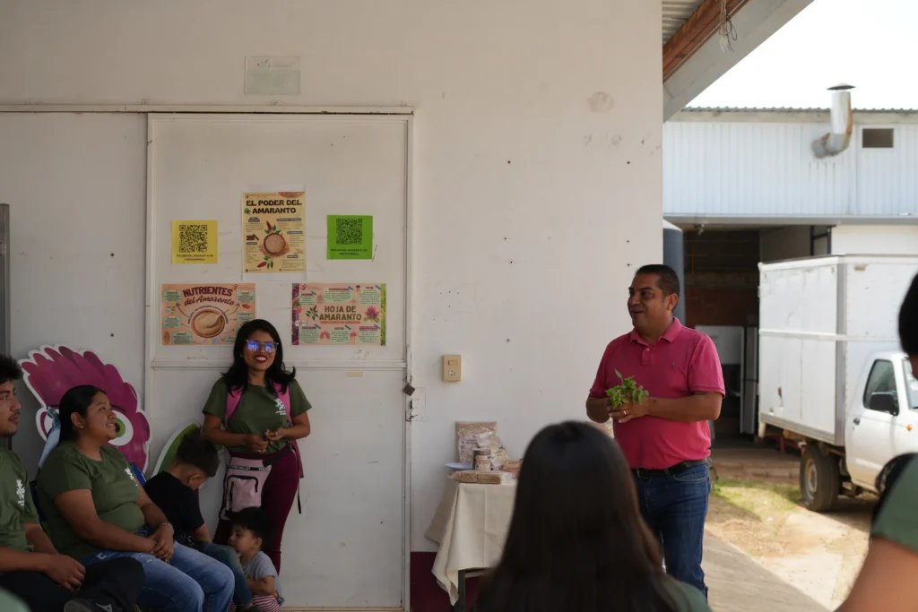 Amaranto de Mesoamérica
