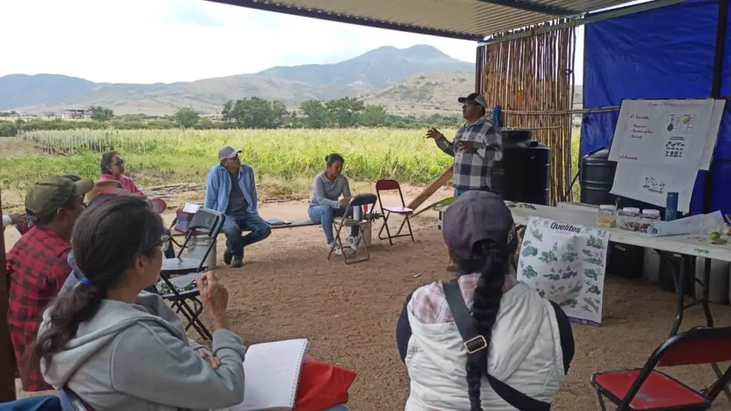 Capacitación en Suelos y Producción Sustentable de Semillas en Los Ciruelos Ocotlán de Morelos Oaxaca