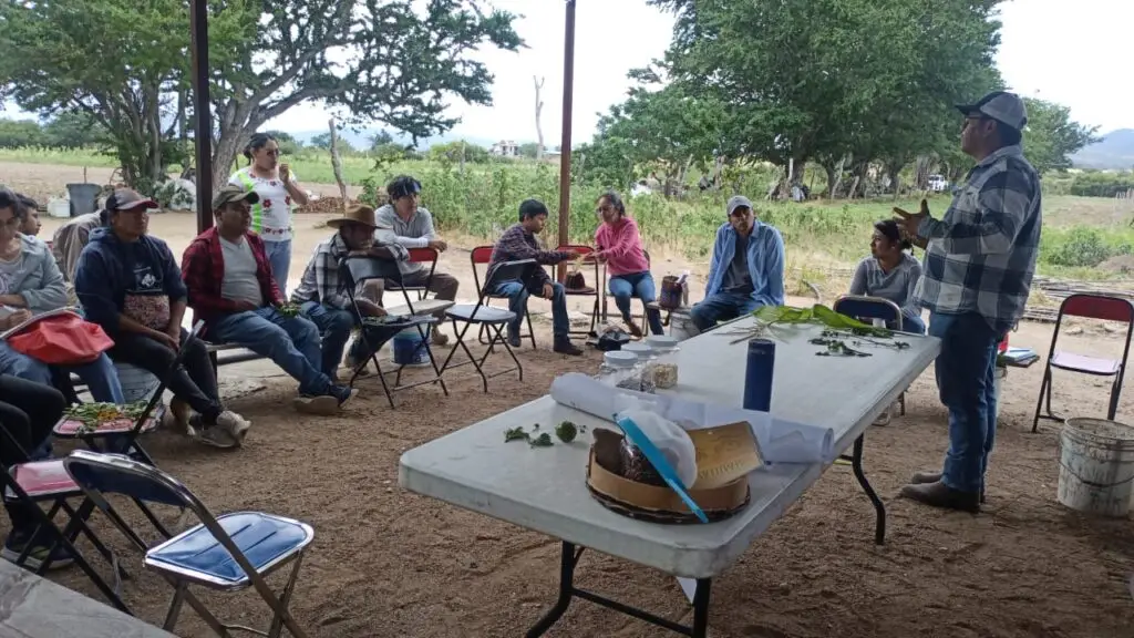 Capacitación en Suelos y Producción Sustentable de Semillas en Los Ciruelos Ocotlán de Morelos Oaxaca